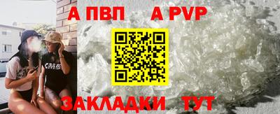 шишки Кандалакша