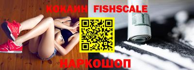 шишки Кандалакша