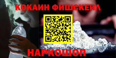 гидропоника Камышлов