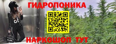 прущая мука Канаш