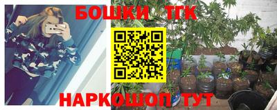 гидропоника Камышлов
