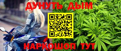 шишки Кандалакша