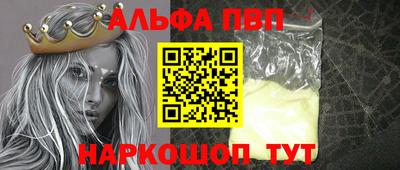 шишки Кандалакша