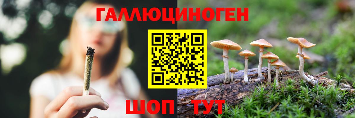 Клин  Псилоцибиновые грибы Cubensis  Вход с VPN 